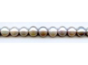Freshwater Pearl Potato 11-12mm Potato