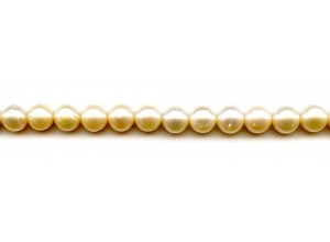 Freshwater Pearl Potato 9x8 Potato