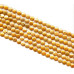 031-1079 Freshwater Pearl Coin <br>12mm Coin