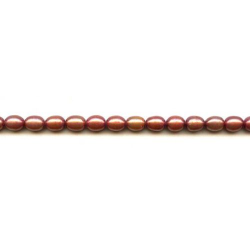 034-1075 Freshwater Pearl Rice <br>6x7 Rice