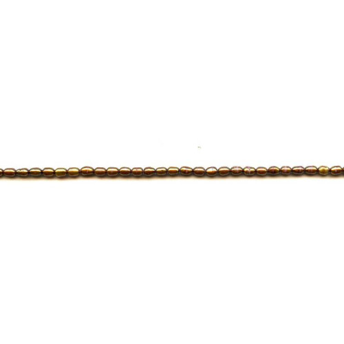 034-1100 Freshwater Pearl <br>3x4 Rice