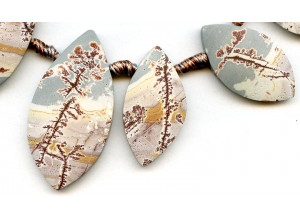 Sonoran Dendritic Rhyolite 36-54x Fancy Drop