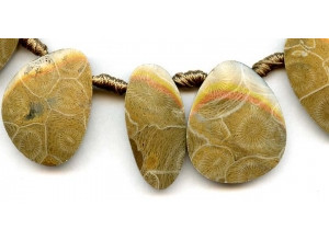 Petoskey Stone 33-40x Fancy Drop