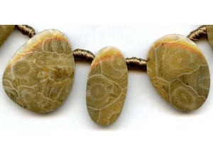 Petoskey Stone 35-40x Fancy Drop