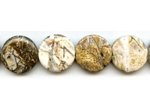 Mud Jasper 25mm Dime