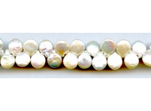 Freshwater Pearl Drop 12mm Coin Drop
