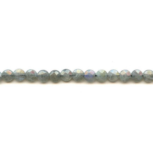 123-1670 Labradorite <br>8mm Faceted Coin