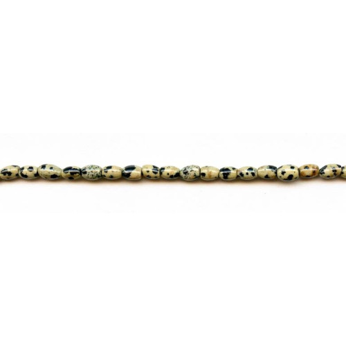 130-0606 Dalmatian Jasper <br>4x6 Rice