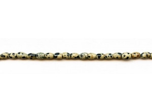 Dalmatian Jasper 4x6 Rice