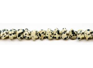 Dalmatian Jasper 8x12 Bear