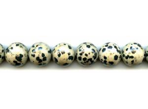 Dalmatian Jasper 16mm Round