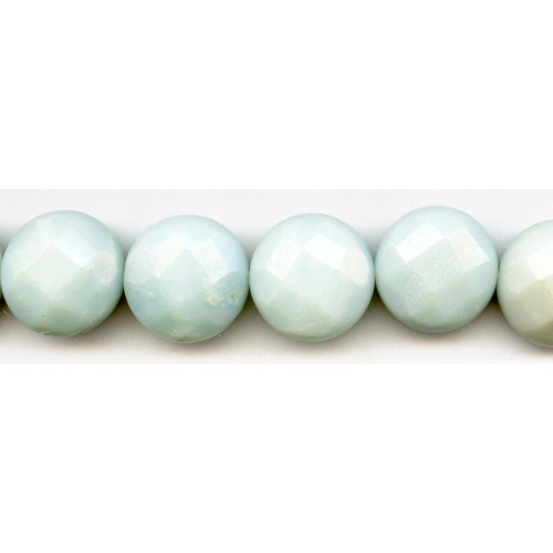 133-2098 Amazonite <br>23mm Faceted Coin