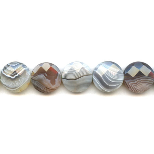 150-1018 Botswana Agate <br>20mm Faceted Coin