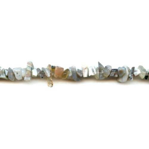 150-1036 Botswana Agate <br>8x Chips