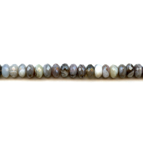 150-1042 Botswana Agate <br>10mm Faceted Rondell