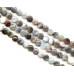150-1059 Botswana Agate <br>16mm Coin