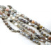 150-1062 Botswana Agate <br>12mm Faceted Coin