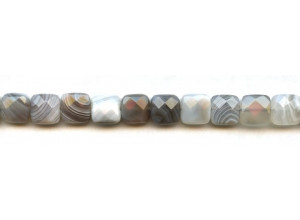Botswana Agate 10x10 Square Cushion Cut