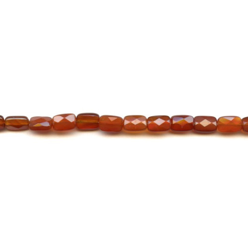 153-0353 Carnelian <br>7x10 Cushion Cut
