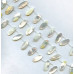 181-1350 Mother of Pearl <br>12x28 Flat Oval Drop