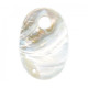 80x Shell Pendant 80x Shell Pendant