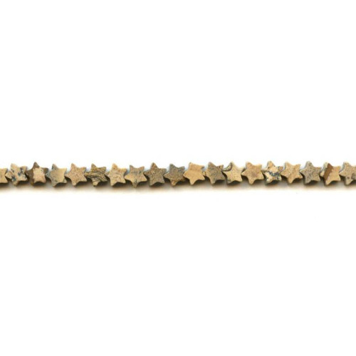 187-0401 Picture Jasper <br>6mm Star