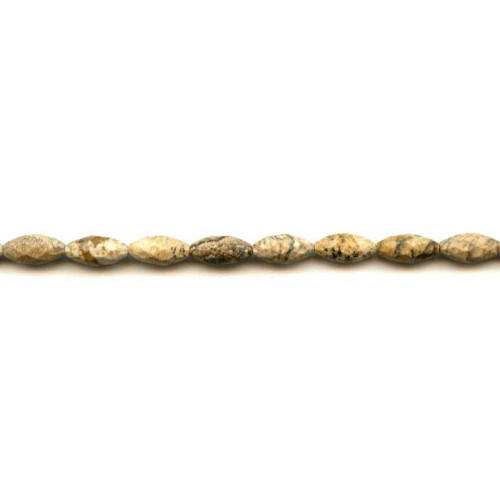 187-1021 Picture Jasper <br>6x12 Faceted Oval Rice
