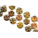 187-1198 Australia Picture Jasper <br>32-35x Flower