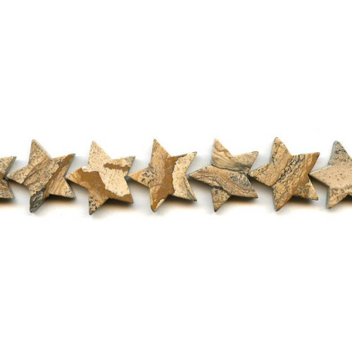 187-1220 Picture Jasper <br>20mm Star