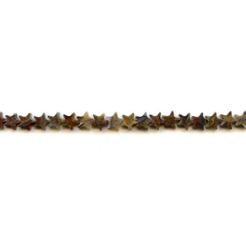 188-1138 Pietersite <br>7mm Star