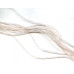 198-0505 Rose Quartz <br>2x4 Tube
