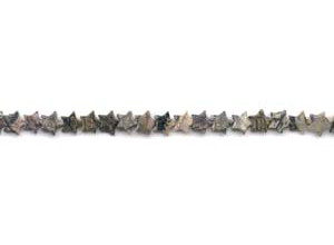 Silver Leaf Jasper 6mm Star