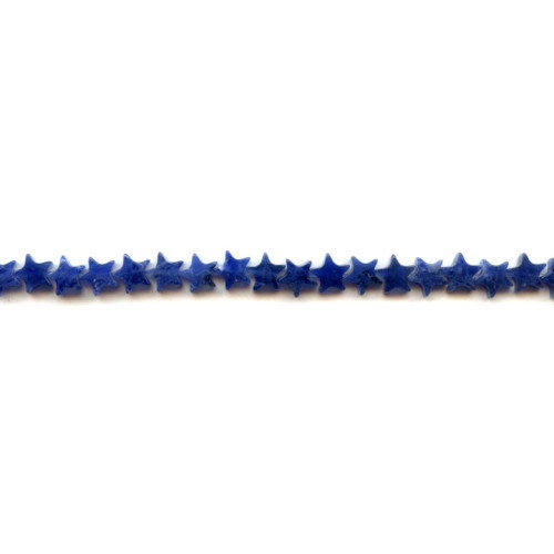 206-1142 Sodalite <br>6mm Star