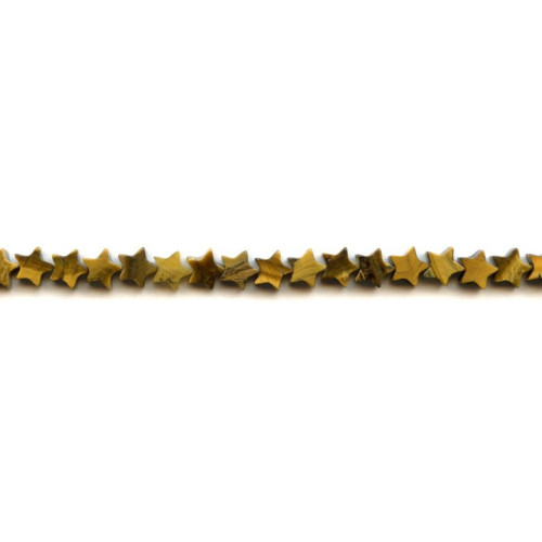 210-0401 Tiger Eye <br>7mm Star