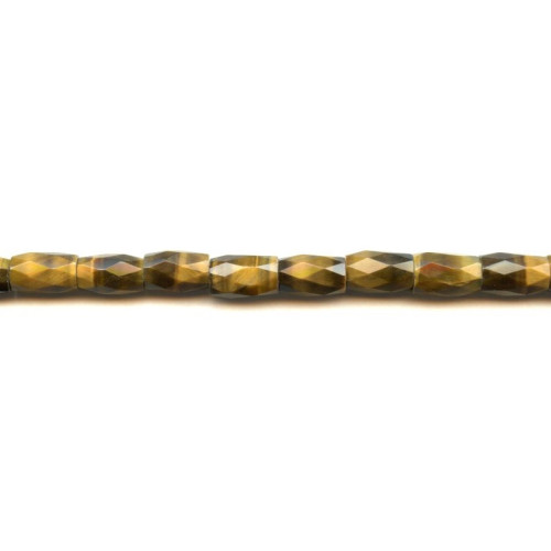210-1027 Tiger Eye <br>8x12 Faceted Tube