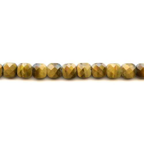 210-1053 Tiger Eye <br>10x10 Square Cushion Cut