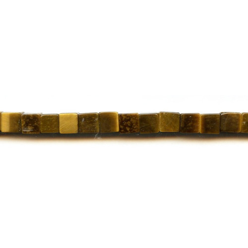 210-1389 Tiger Eye <br>8x8 Cube