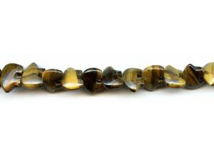 Tiger Eye 10x14 Bear