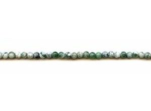 Tree Agate 4mm Round
