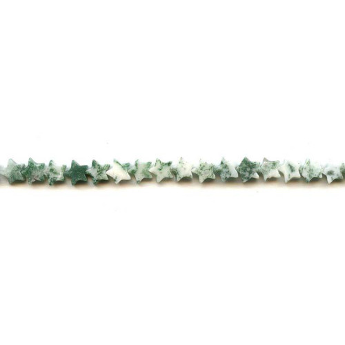 212-1055 Tree Agate <br>7mm Star