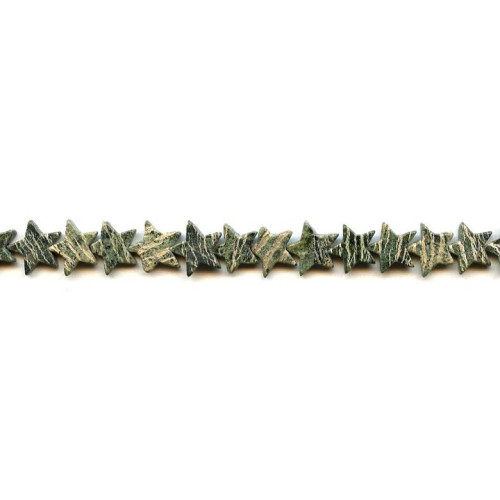 216-1056 Zebra Jasper <br>10mm Star