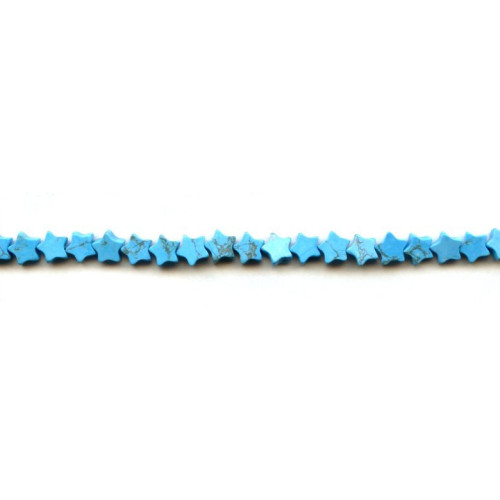 239-0401 Turquoise Howlite <br>6mm Star