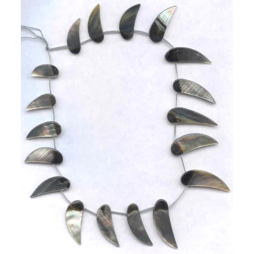 245-1145 Black Mother of Pearl <br>20-55mm Shell Drop