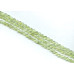 252-0055 Prehnite <br>8mm Faceted Coin