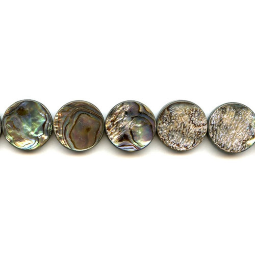 275-1080 Abalone <br>20mm Dime