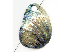 Abalone 92-106x Pendant