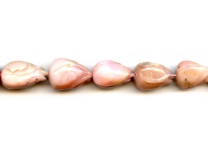 Pink Opal 10-16x Tulip