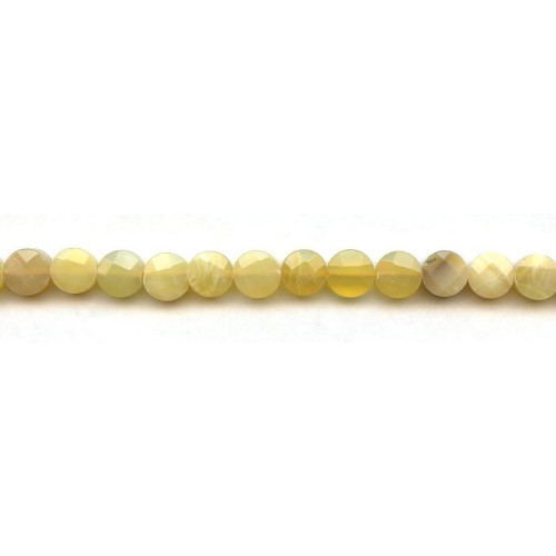 289-1014 Yellow Opal <br>8mm Faceted Coin