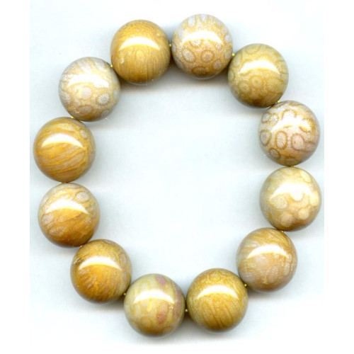 L3950-022 Fossil Coral <br>22mm Round Bracelet