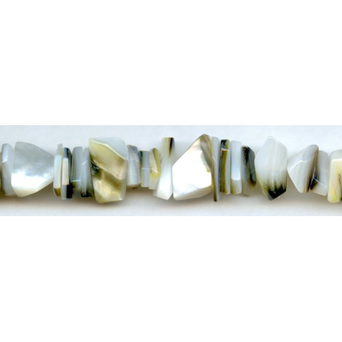 298-1119 Black Mother of Pearl <br>18x Simple Cut
